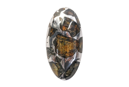 Pallasite 5.83 g